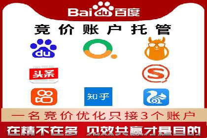 揭秘成功之道：竞价推广公司经典案例分享