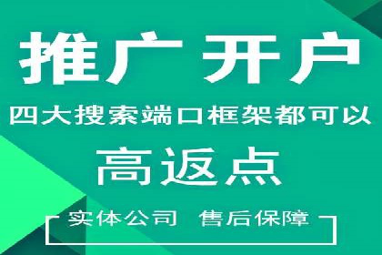 案例剖析：SEM网络推广助力品牌快速崛起